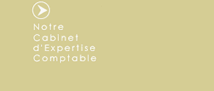 Cabinet Expert Comptable Profession Lib�rale BNC